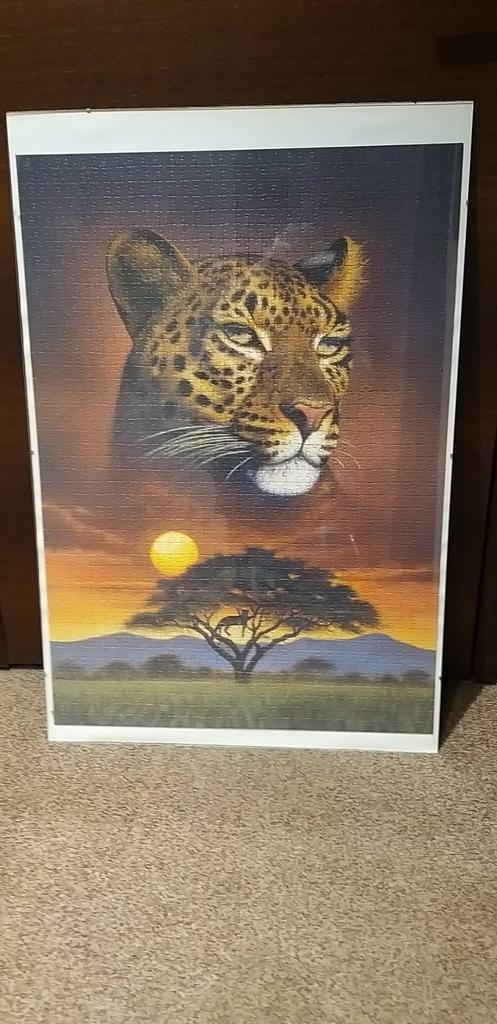 Puzzel in kader, Ophalen of Verzenden, Zo goed als nieuw