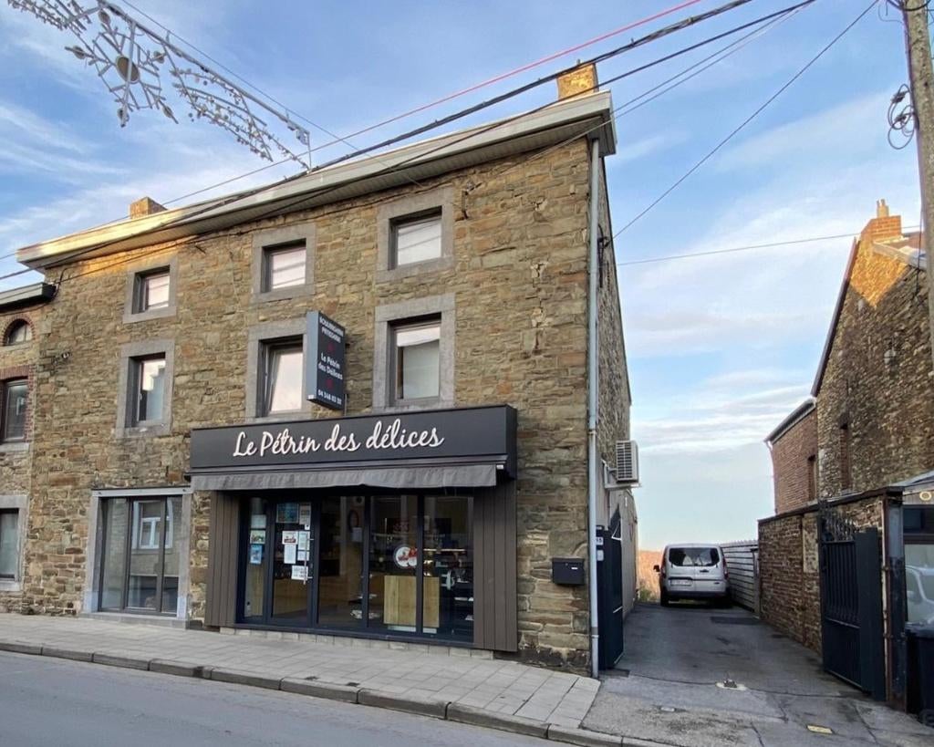 Gemengd huis, Chaudfontaine (Ninane), 5 kamers, 270 m², Provincie Luik