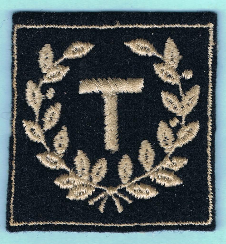 Belgian Air Force Sleeve Insignia ( A44 ), Ophalen of Verzenden, Luchtmacht, Embleem of Badge