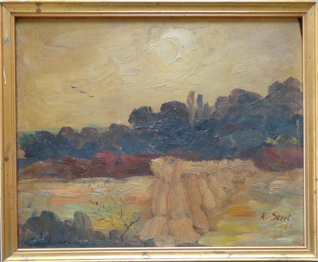 ALBERT STEEL / EXPRESSIONISME / OLIEVERF / 36x41cm / KADER, Antiek en Kunst, Ophalen of Verzenden