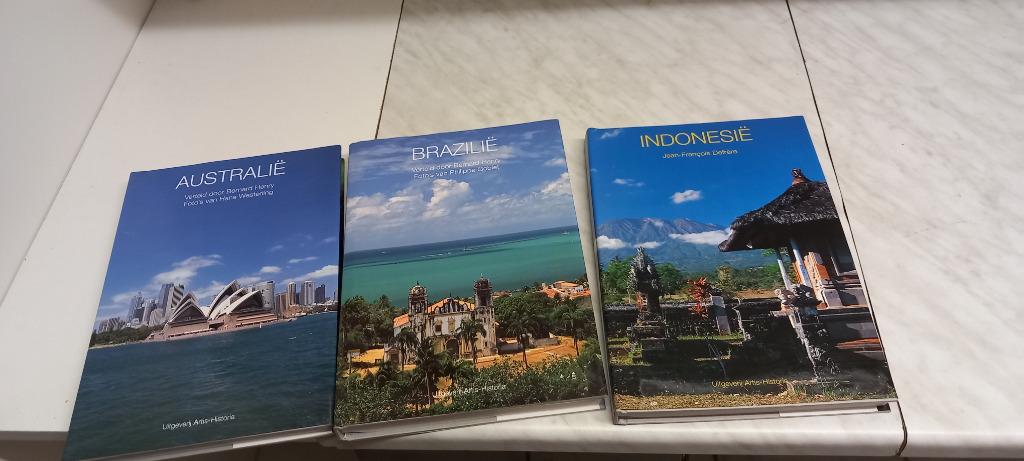 indonesie australie Brazilie artis historia, Livres, Art & Culture | Arts plastiques, Enlèvement, Comme neuf