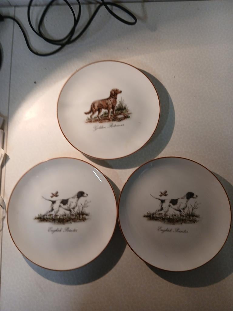 3 borden jacht honden, Ophalen of Verzenden