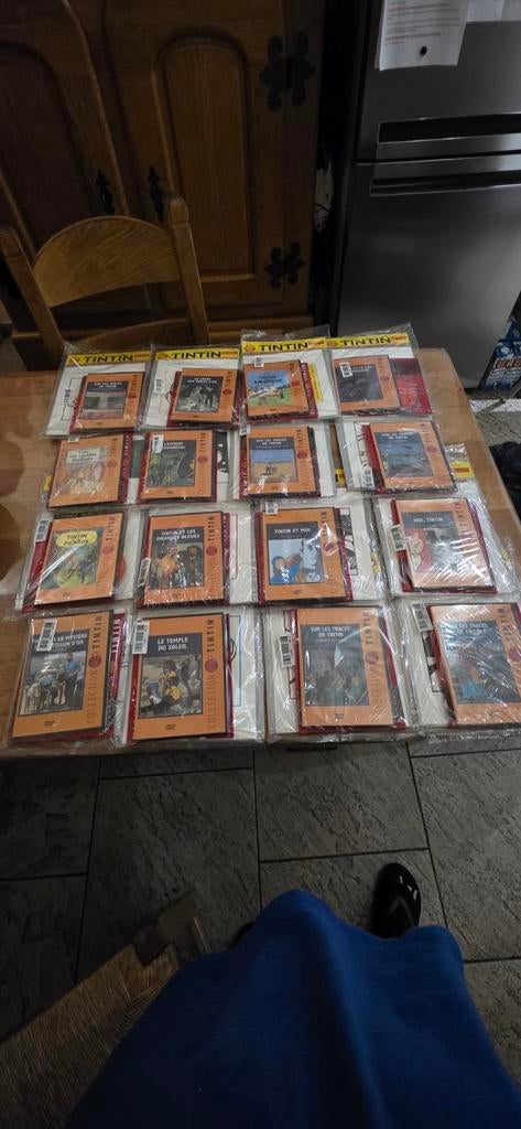 Collection dvd tintin, Enlèvement