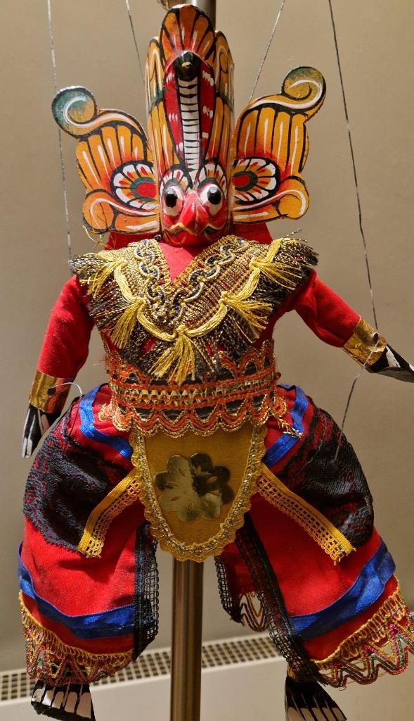 Aziatische trekpop Arend origine Sri Lanka, Ophalen