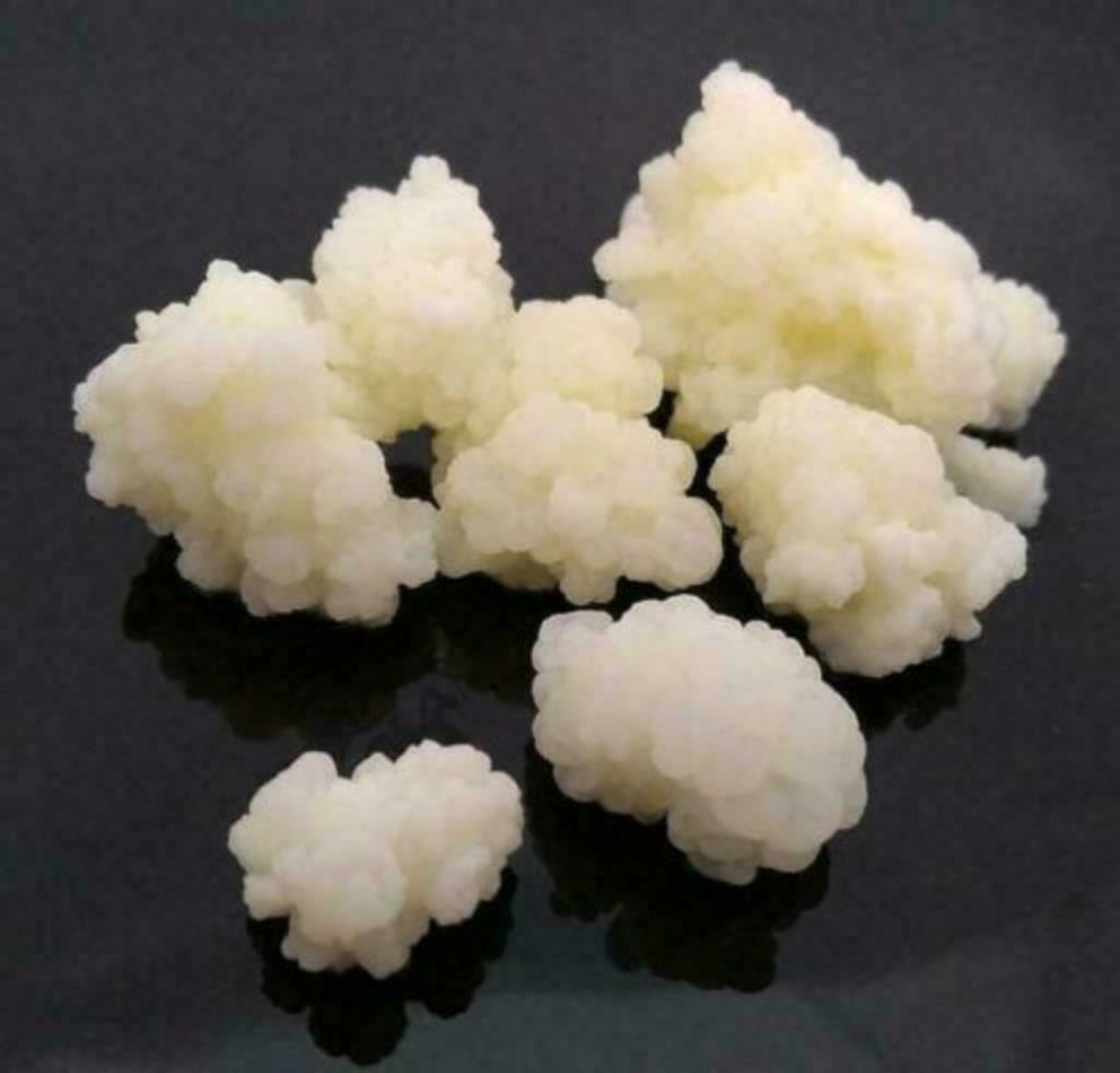 35 gr verse melkkefir, Ophalen of Verzenden