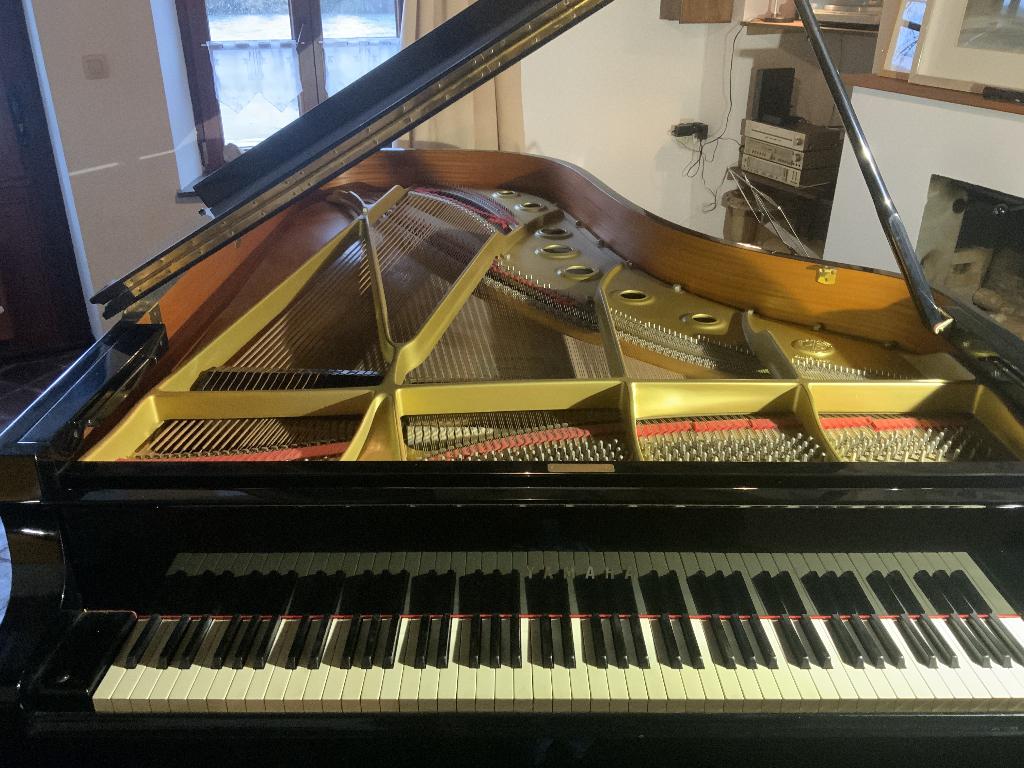 piano à queue Yamaha C7, Brillant, Enlèvement, Utilisé, Piano