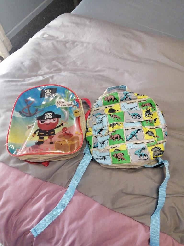 2 leuke rugzakjes, Handtassen en Accessoires, Tassen | Schooltassen, Ophalen of Verzenden, Gebruikt