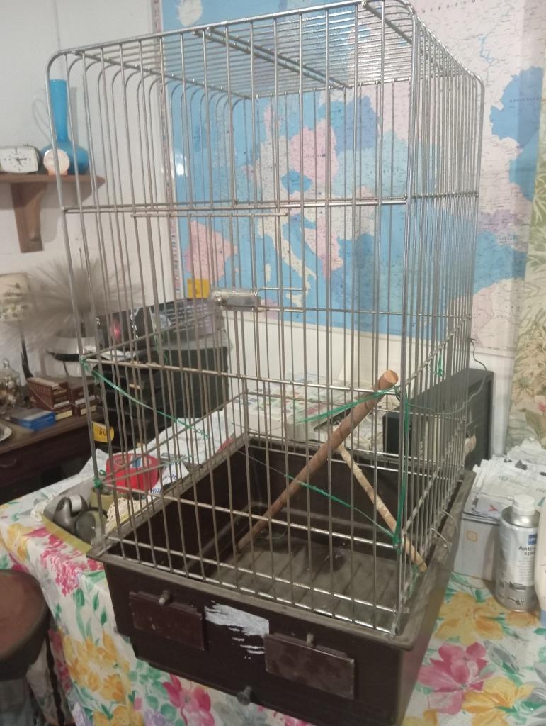 kooi papagaai of parkiet ..., Enlèvement, Cage à oiseaux