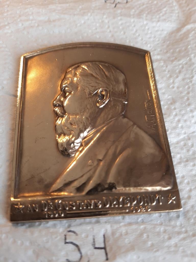 Au Dr GUSTAVE DRYEPONDT pionnier congo belge 1890-1924, Enlèvement ou Envoi, Bronze