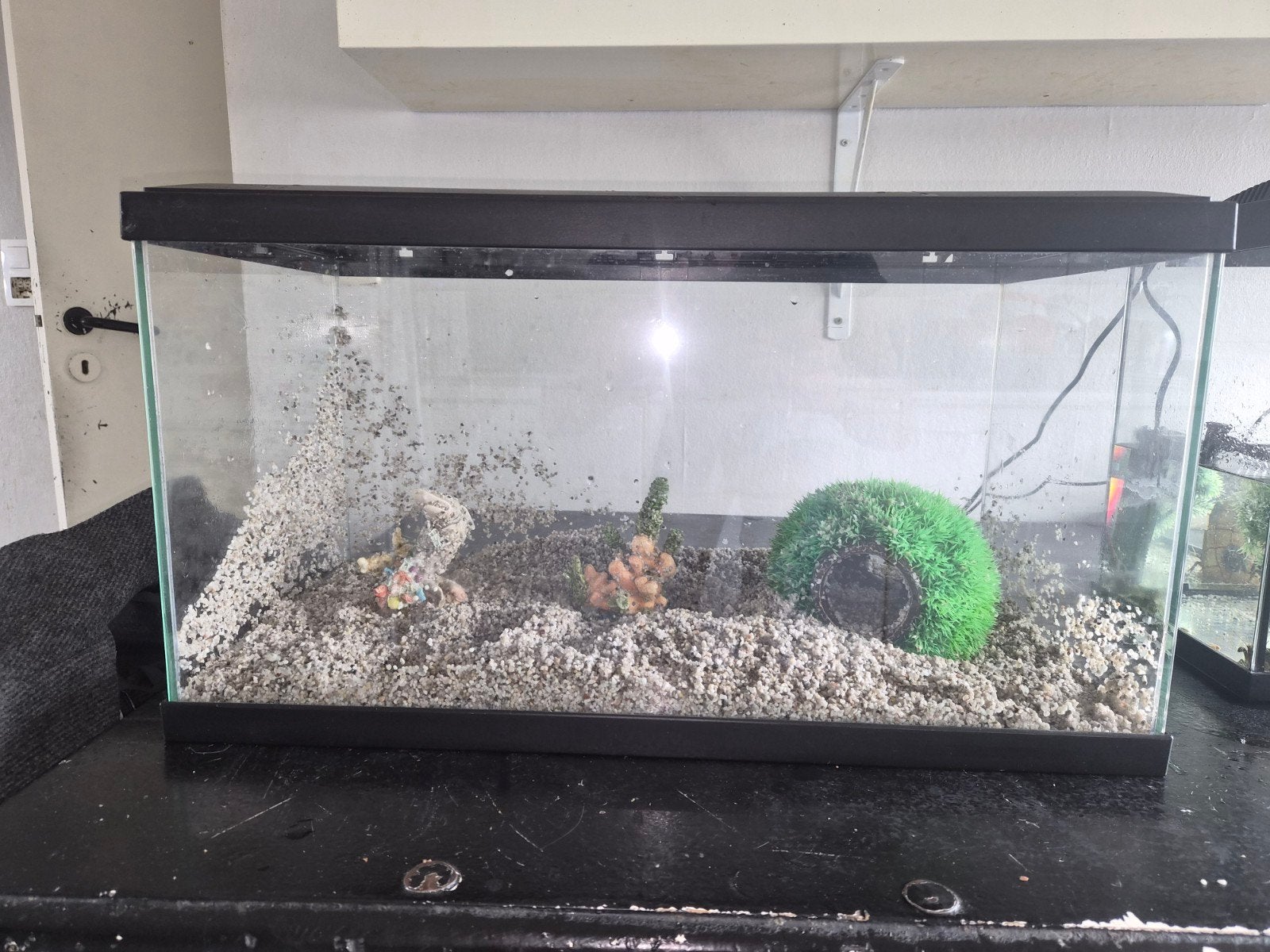 2 aquarium 1 met pompje en lamp en 7 kreeftjes, Dieren en Toebehoren, Ophalen