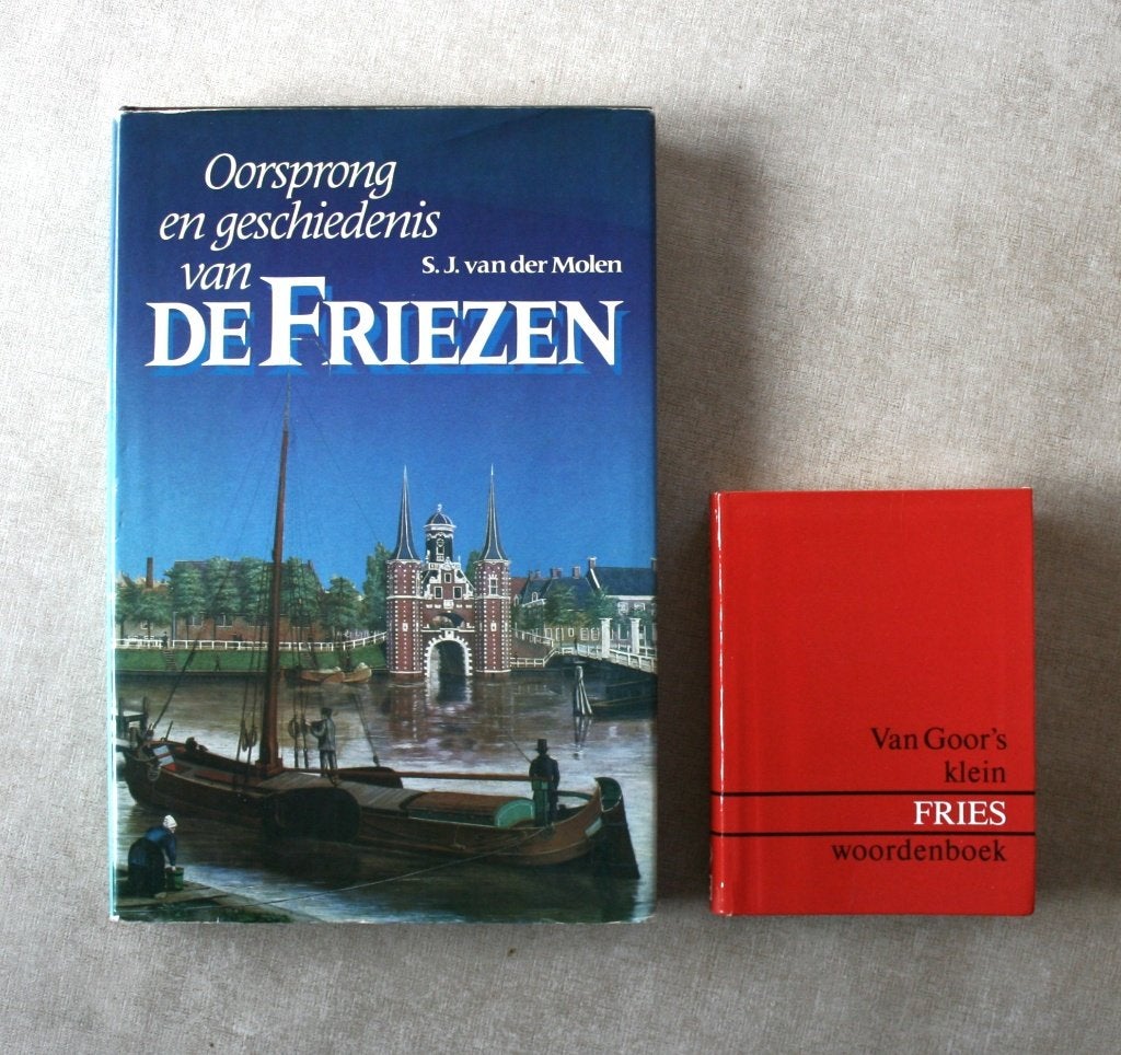 Friezen - oorsprong/geschiedenis + woordenboek set €10, Boeken, Ophalen of Verzenden, Gelezen, Diverse auteurs