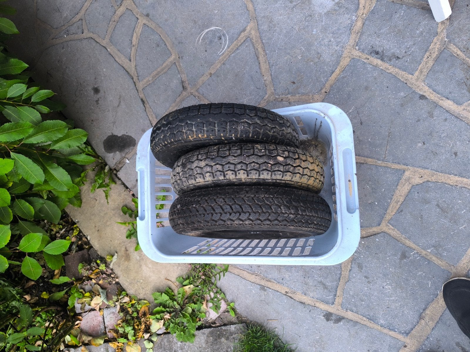 vespa 8 inch band, Dieren en Toebehoren, Ophalen of Verzenden