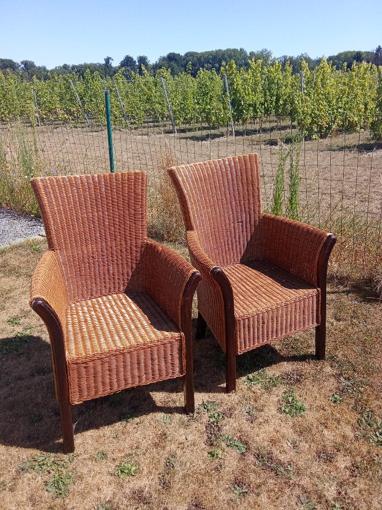 2 Rotan stoelen Perfecte staat, Ophalen