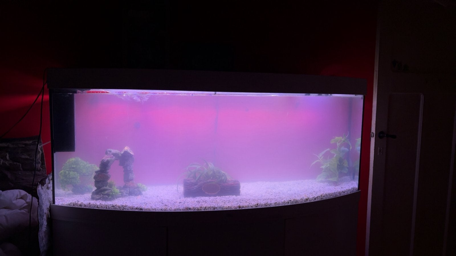 Aqarium JUWEL 550L, Animaux & Accessoires, Poissons | Aquariums & Accessoires, Enlèvement, Comme neuf, Juwel