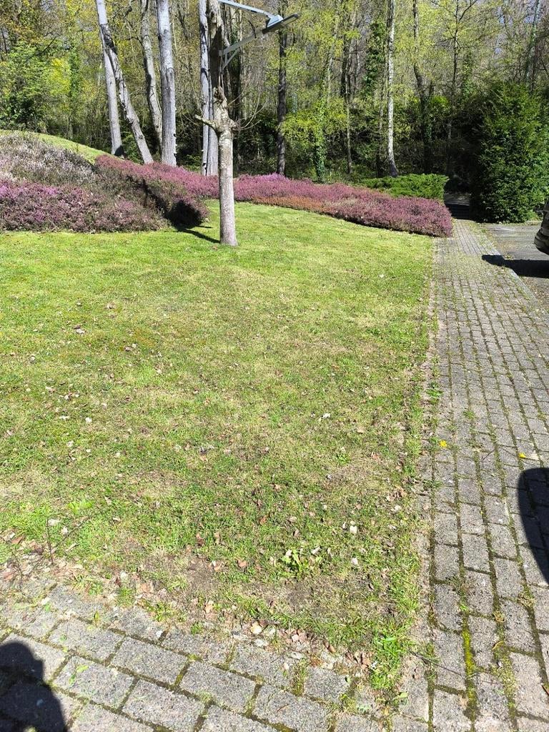 Tuinman