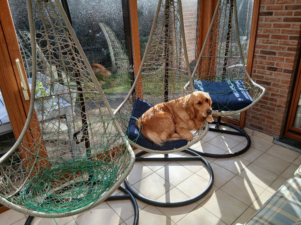 Hangstoel zero gravity, Tuin en Terras, Hangmatten, Zo goed als nieuw, Met standaard, Binnen, Buiten, Ophalen