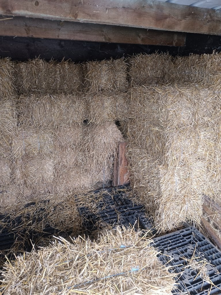 botjes hooi te koop, Dieren en Toebehoren, Ophalen, Vee