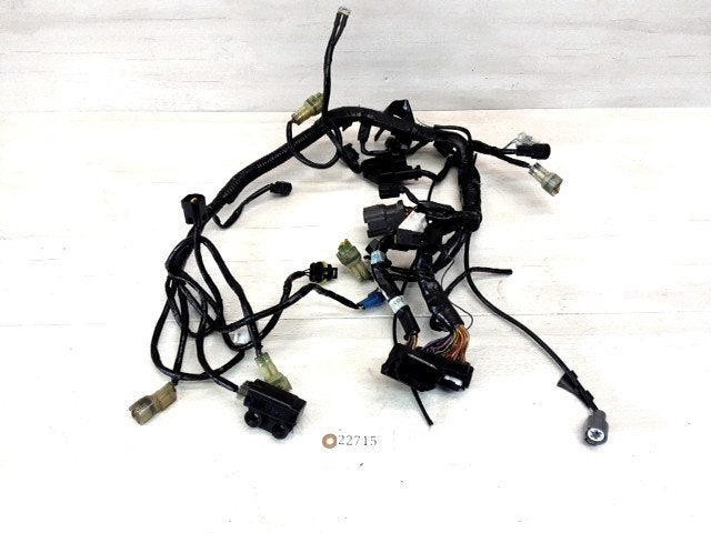 1290 Superduke (R) 2014 - 2016 KTM Kabelboom D1-45716, Motoren, Onderdelen | Overige