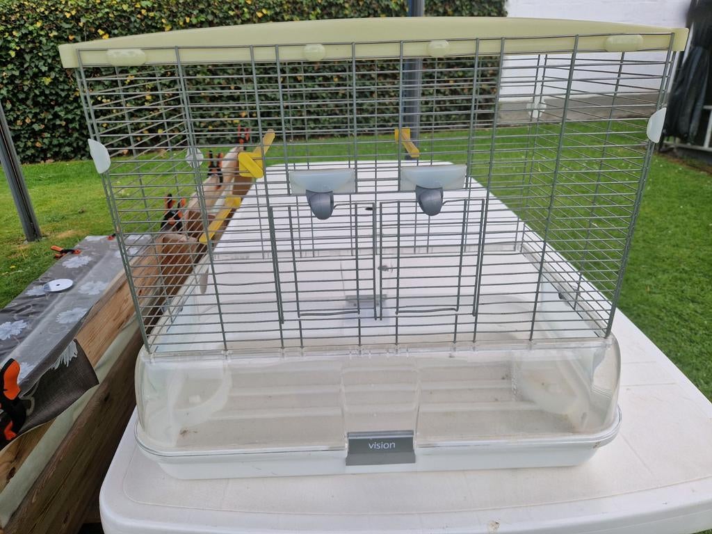 Kooi vision, Dieren en Toebehoren, Vogels | Hokken en Kooien, Ophalen