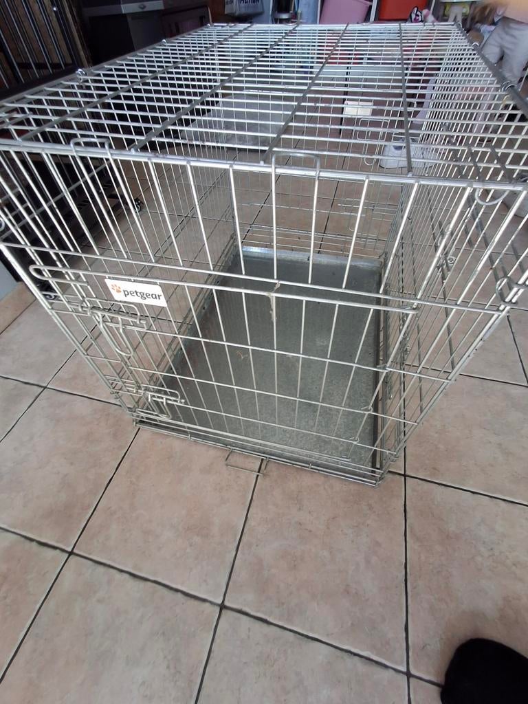 Cage chien, Enlèvement