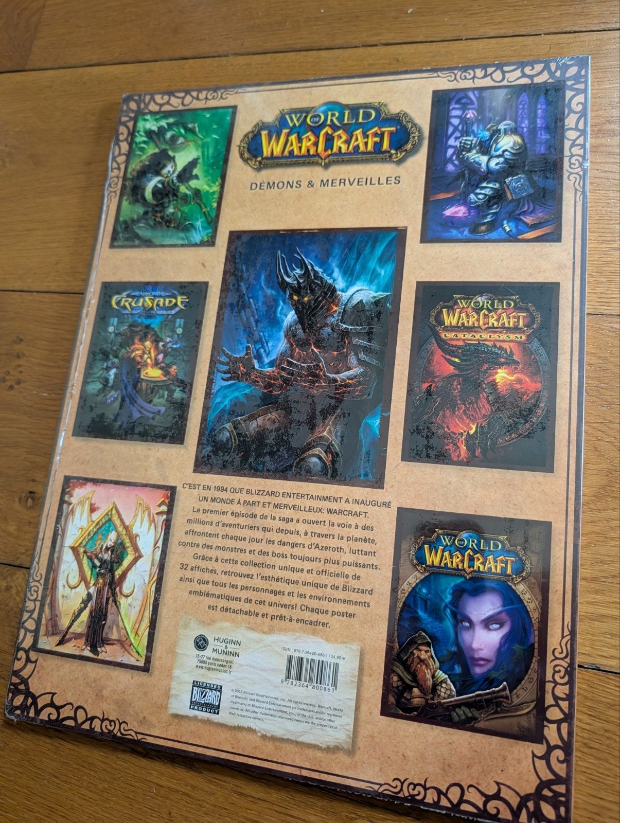 Boek 32 World of Warcraft Posters (2013, negen in blisterver, Games en Spelcomputers, Ophalen of Verzenden, Nieuw