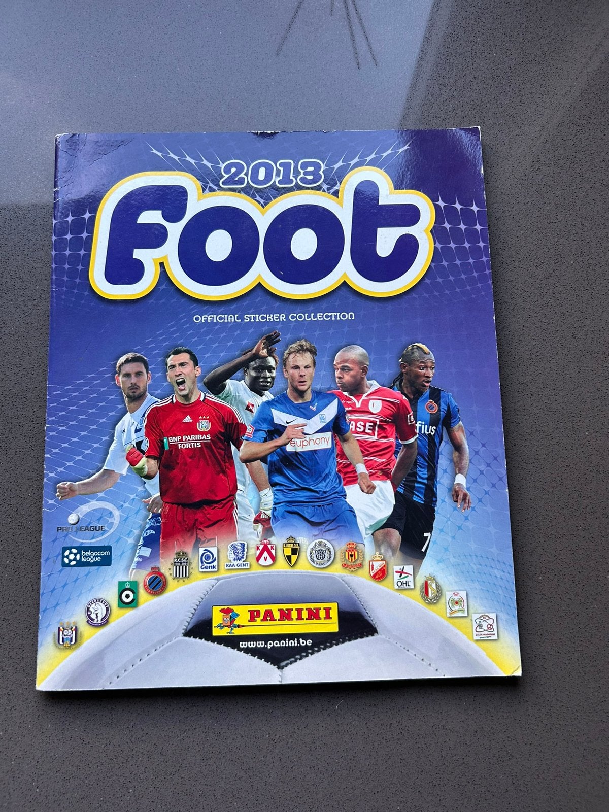 Panini Football 2013, Ophalen of Verzenden, Gebruikt, Sticker