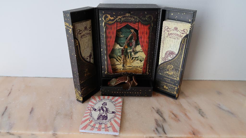 tomorrowland treasure case Amicorum 2017, Tickets en Kaartjes, Eén persoon