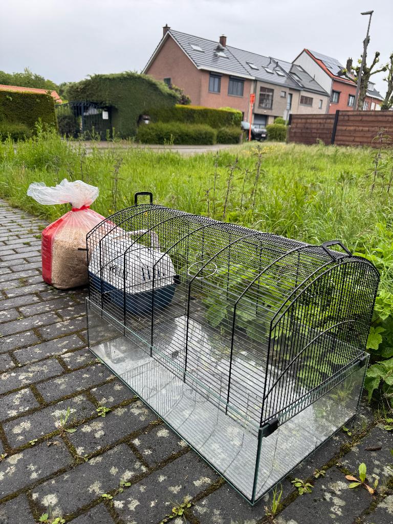 Cage pour rongeur + copeaux et caisse de transport, Moins de 60 cm, Cage, Utilisé, Lapin