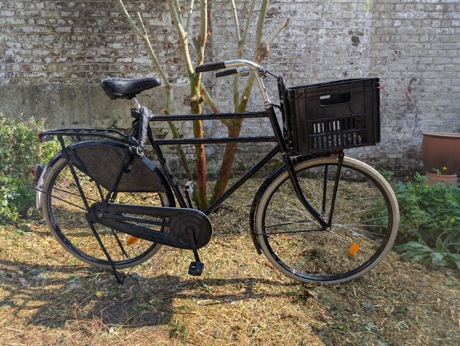 Opafiets XL, Fietsen en Brommers, Ophalen, Terugtraprem