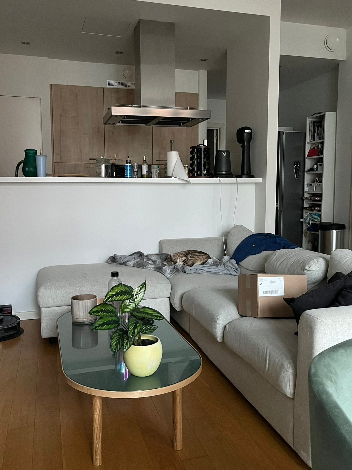 CANAPE VIMLE IKEA, Maison & Meubles, Trois personnes, 100 à 125 cm, 200 à 250 cm, Synthétique