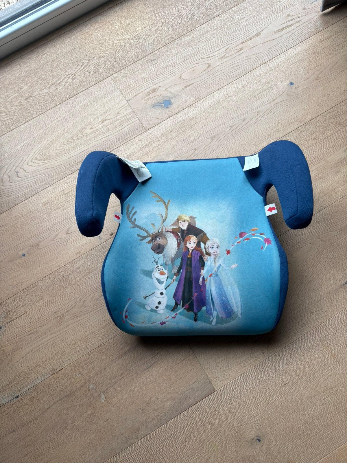 Verhoogzitje van Frozen voor wagen in perfecte staat, Kinderen en Baby's, Autogordel, 15 t/m 36 kg, Zo goed als nieuw, Ophalen