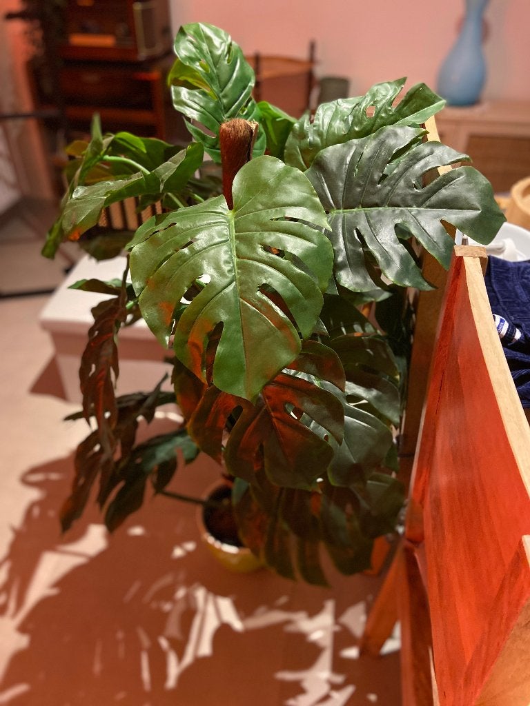 Monstera kunstplant, Ophalen, Binnen, 140 cm, Kunstplant