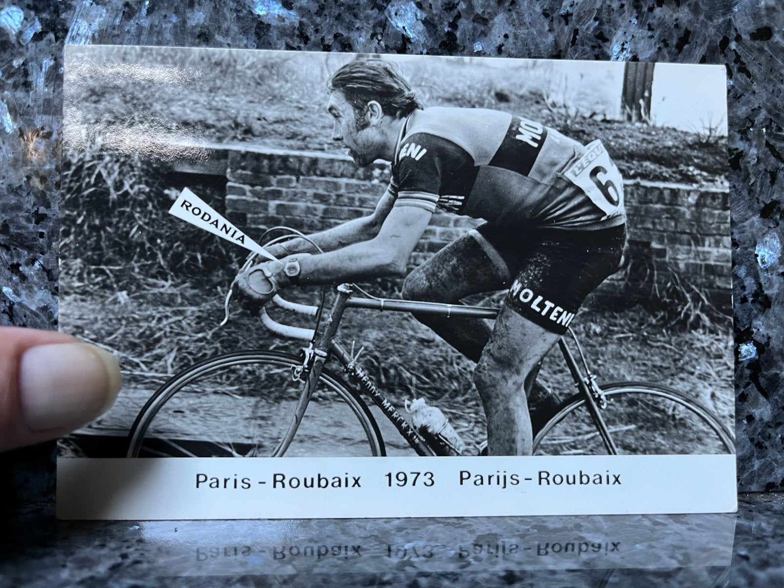 Eddy Merckx Molteni Rodania, cycliste, Enlèvement, Comme neuf