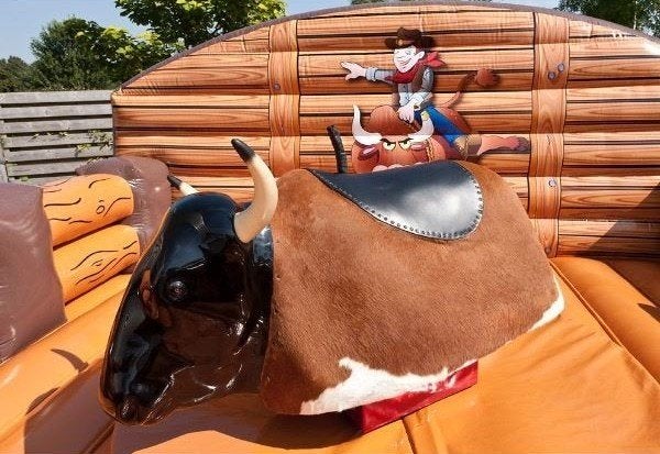 Rodeostier huren – Plezier gegarandeerd, Hobby en Vrije tijd, Ophalen of Verzenden, Zo goed als nieuw