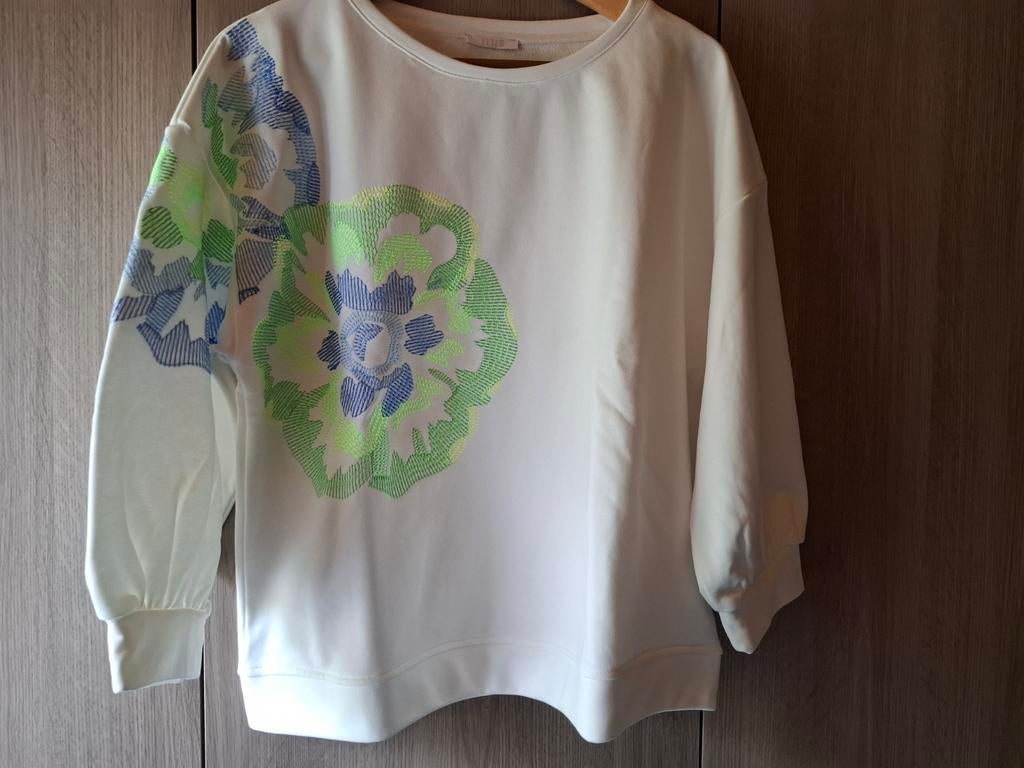 Nouveau chez Senso, taille 44, Vêtements | Femmes, Pulls & Gilets, Taille 42/44 (L), Vert, Enlèvement ou Envoi