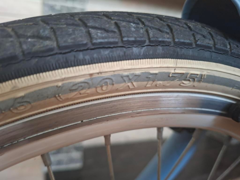 Alpina Girl Power 20 inch fiets, Fietsen en Brommers, Fietsen | Meisjes, Ophalen, 20 inch