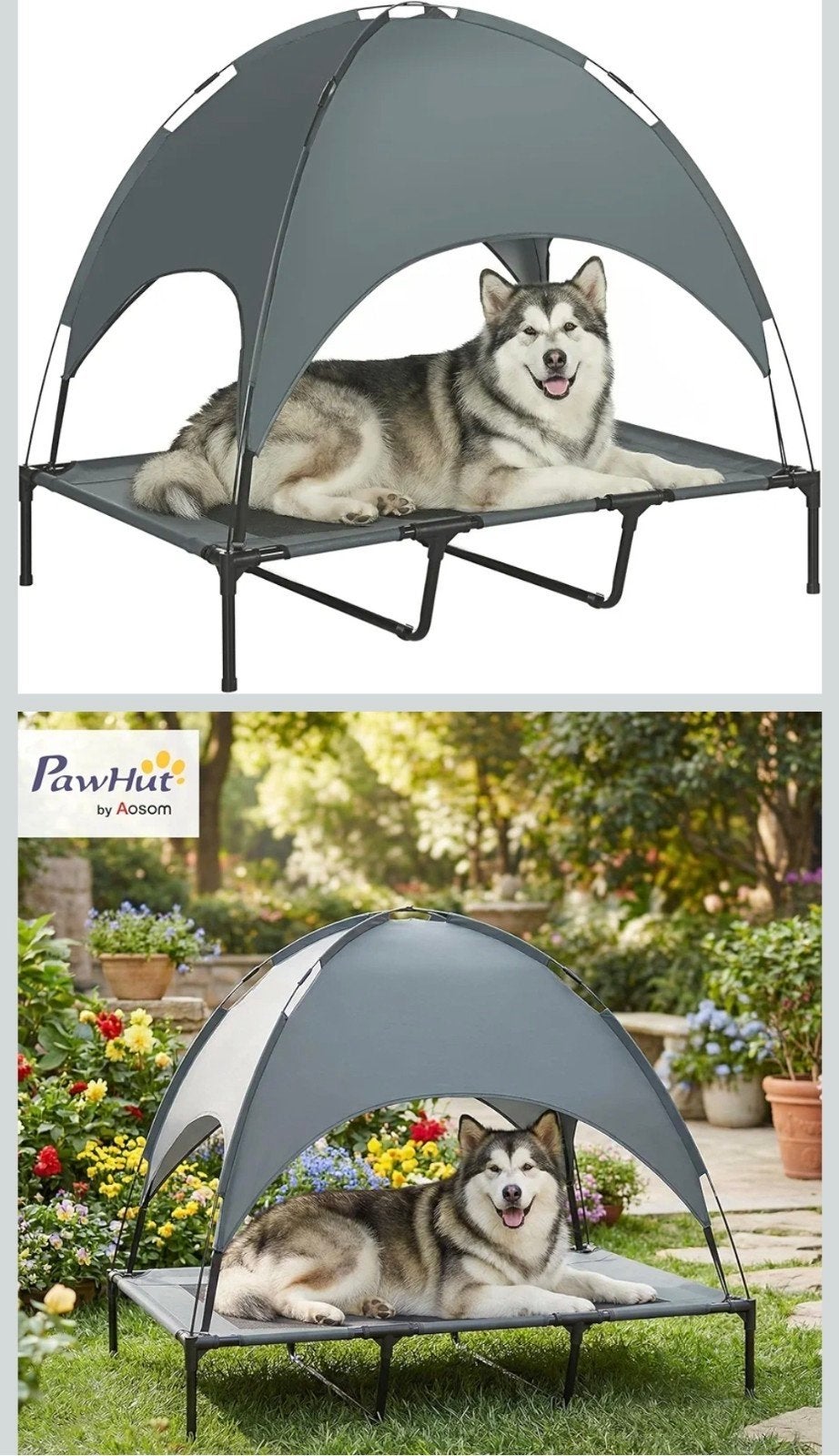 NIEUW, Dieren en Toebehoren, Ophalen