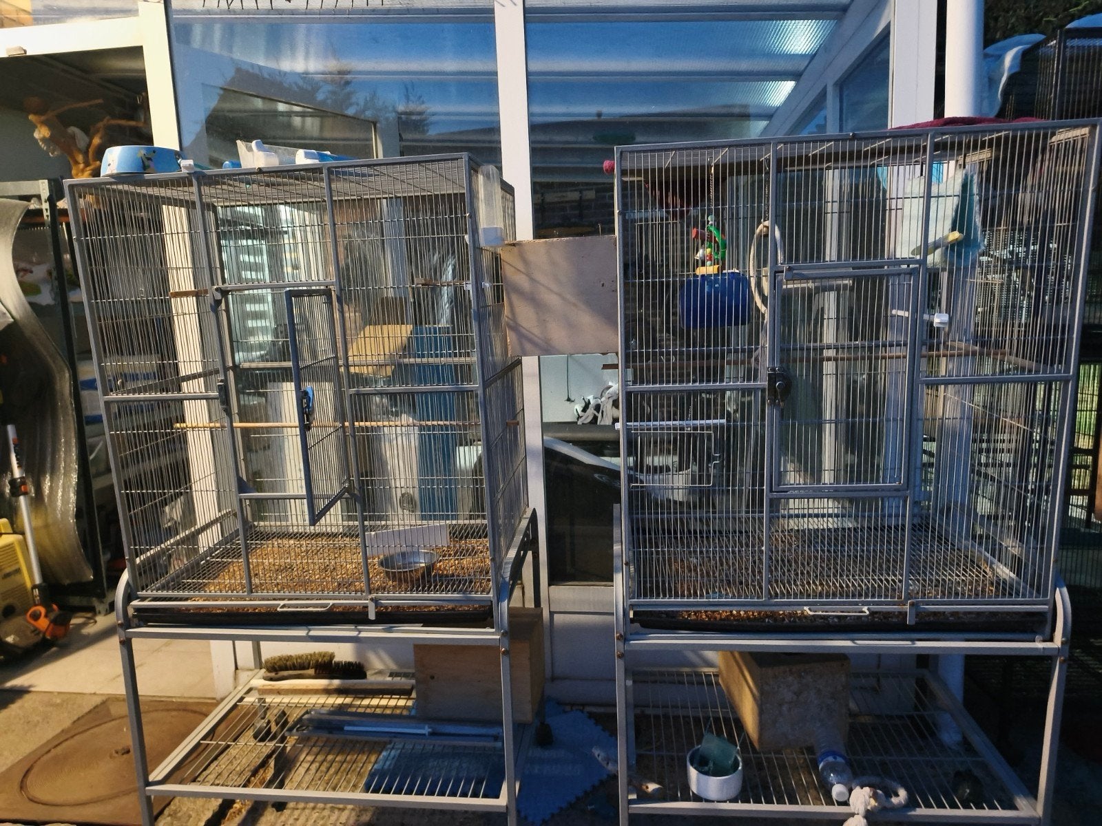 cage a vendre grande perruche, Animaux & Accessoires, Oiseaux | Cages & Volières