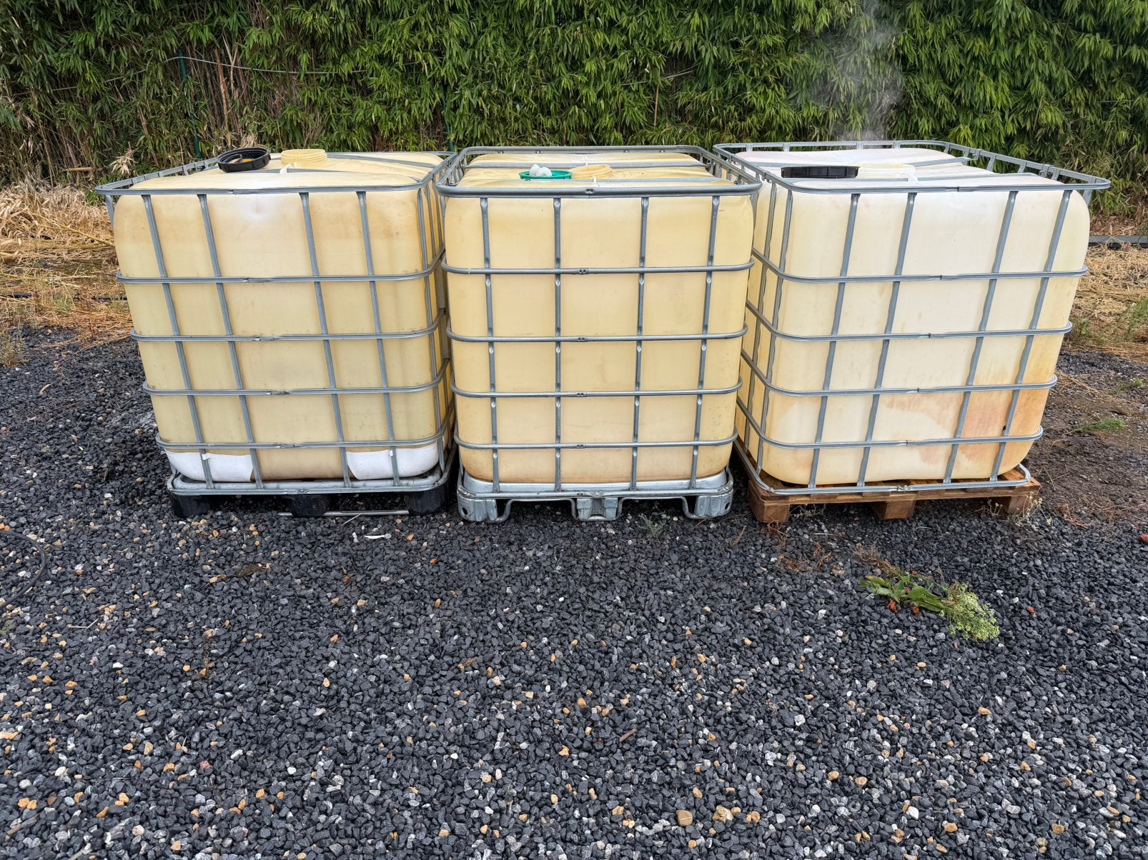 3 x ibc (zelf te spoelen), Enlèvement, Comme neuf