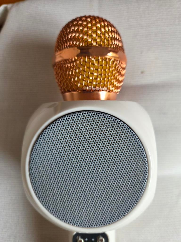 Microphone karaoké sans fil WSTER WS-1816 – Blanc/Or, Musique & Instruments, Microphones, Enlèvement, Sans fil
