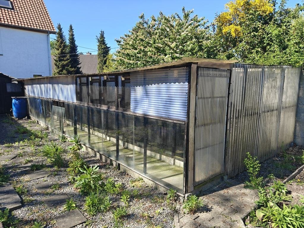 Volière 10 meter lang. Gratis, Ophalen, Volière