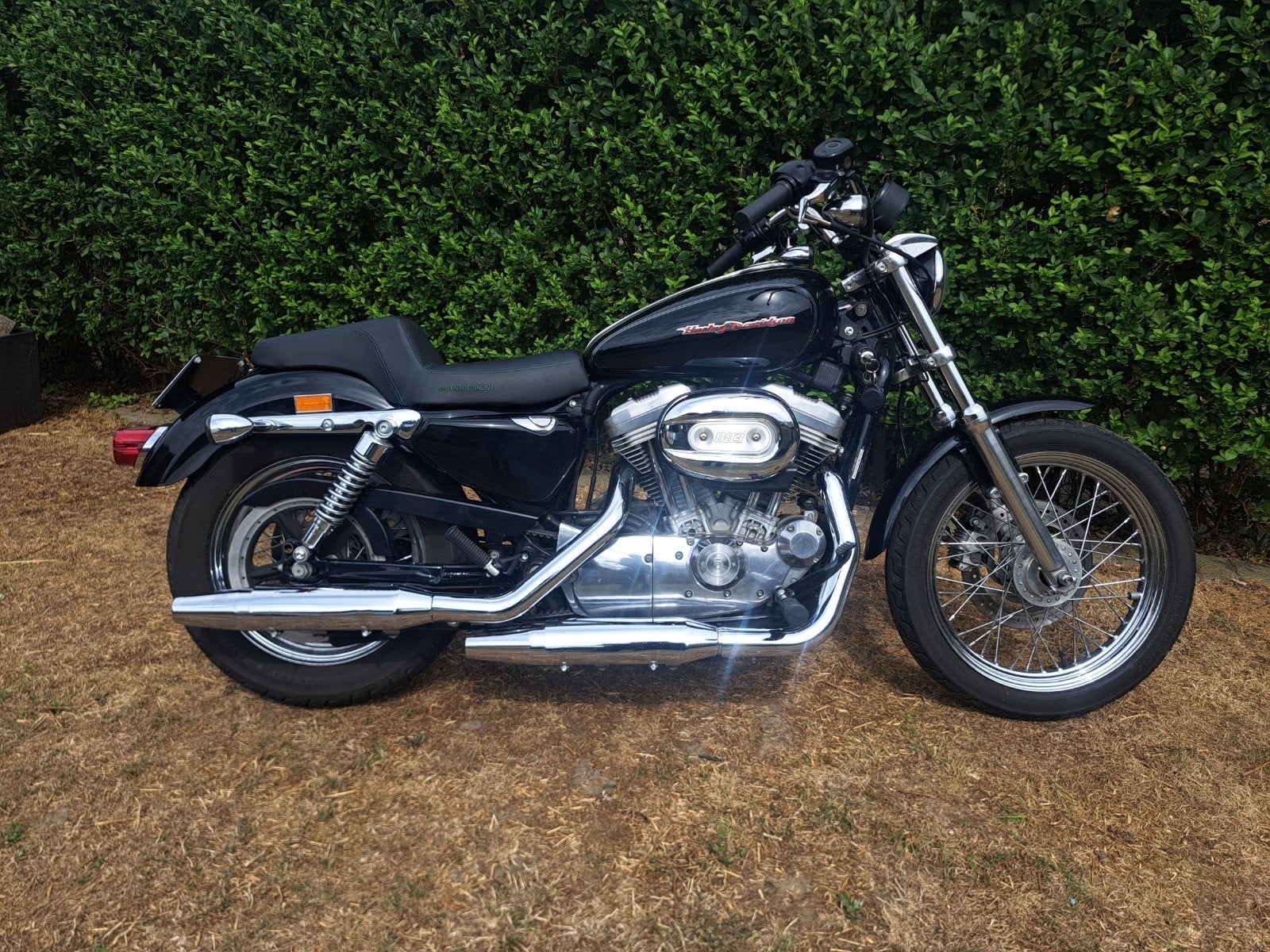 Sportster 883 bouwjaar 2005., Motoren, 2 cilinders, Chopper, 883 cc, Particulier