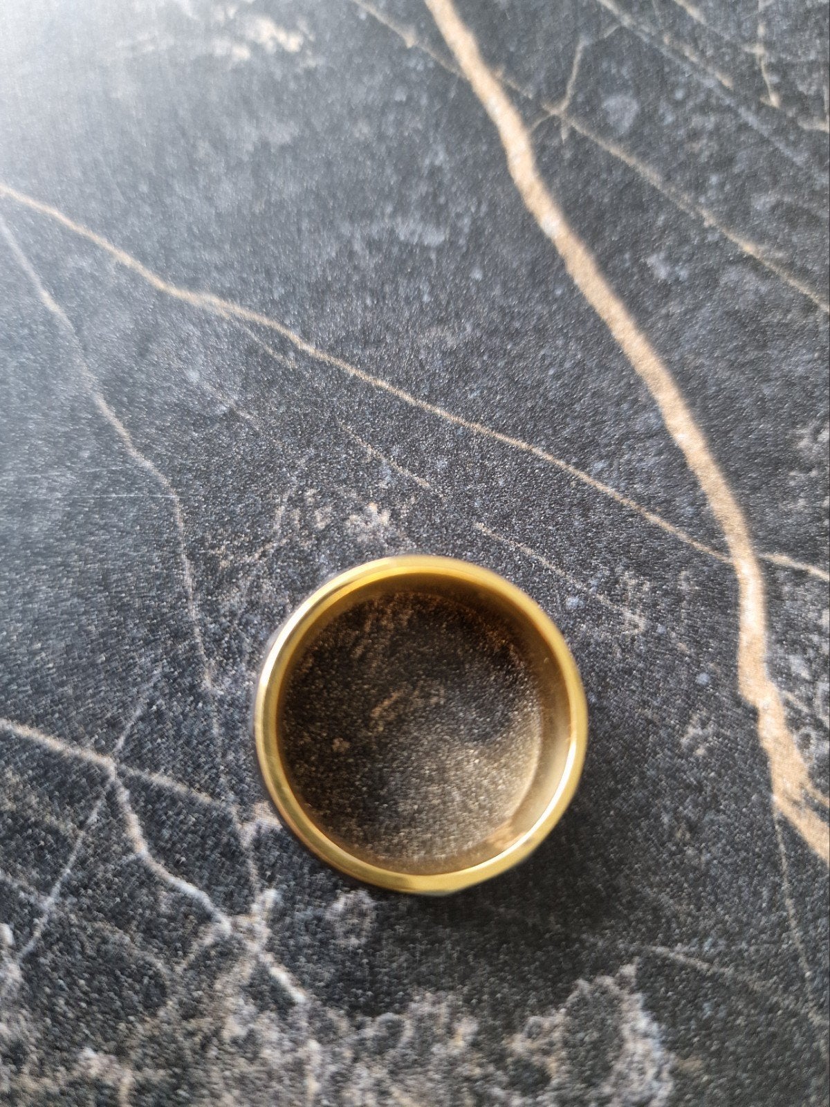 Gemini titanium ring, Ophalen of Verzenden, Nieuw, Overige materialen, Heer