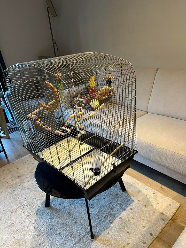 Grote vogelkooi te koop, Ophalen, Zo goed als nieuw, Vogelkooi