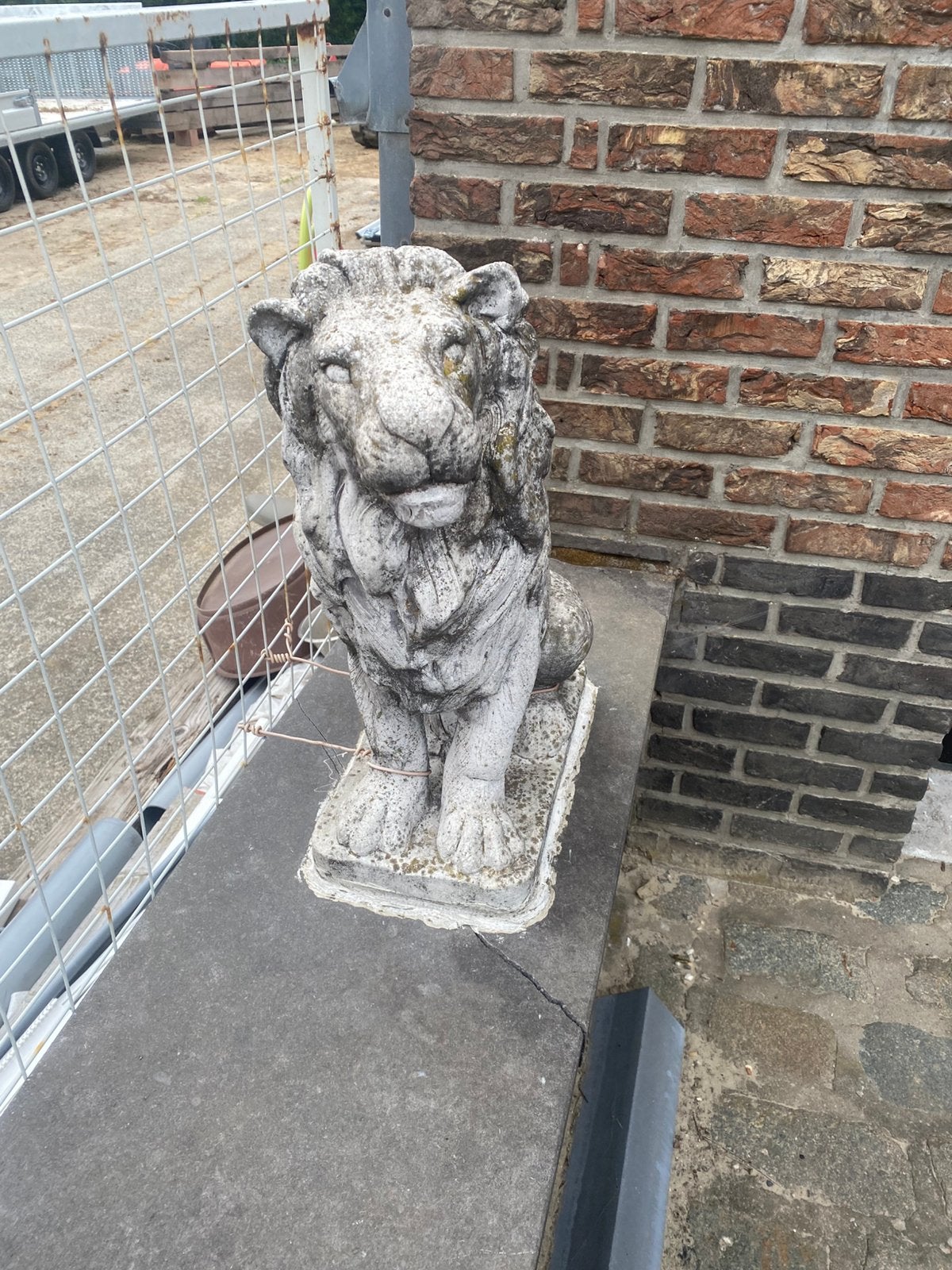 Beton leeuw, Ophalen, Gebruikt, Beton, Dierenbeeld