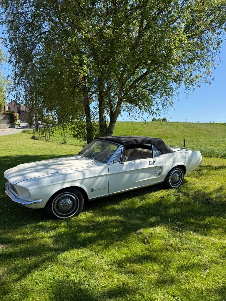 Ford mustang 1967 sortie de grange, Auto's, Particulier, Te koop