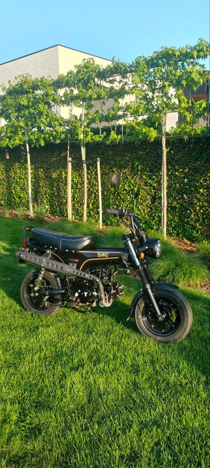 Bluroc Heritage 50cc Black Glossy Dax, Fietsen en Brommers, Brommers | Honda, Ophalen
