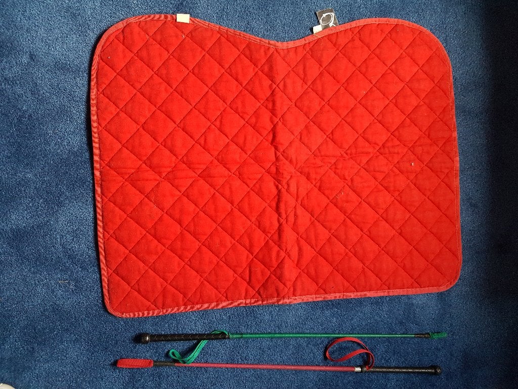 Equitation - Petit tapis de selle poney et cravache, Animaux & Accessoires, Enlèvement ou Envoi, Récréation, Comme neuf, Autres types