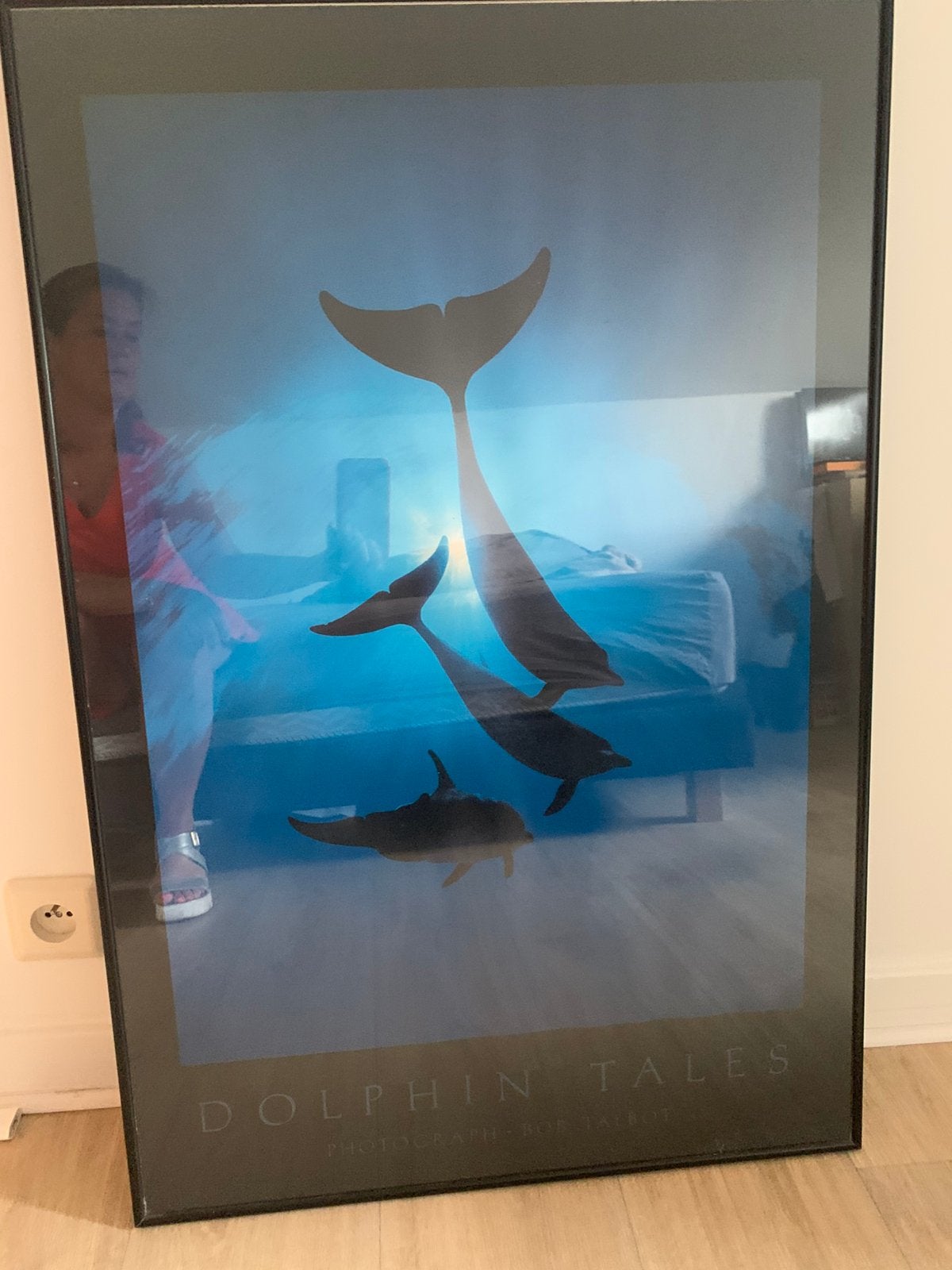 Cadre en verre Dauphins, Enlèvement, Comme neuf, 50 à 75 cm, 75 – 100