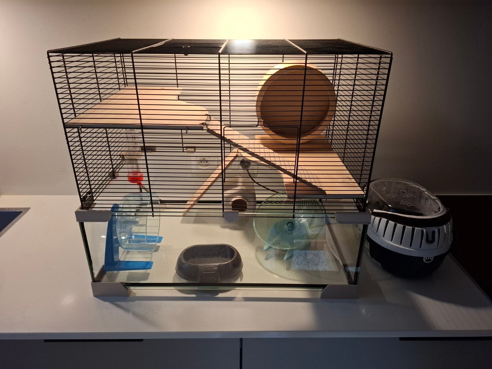 Ferplast karat 60, Enlèvement, Cage